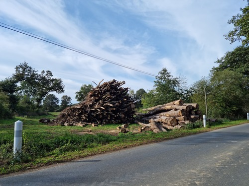 Bois à Tllières