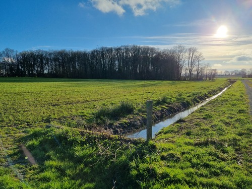 Etang en 2020